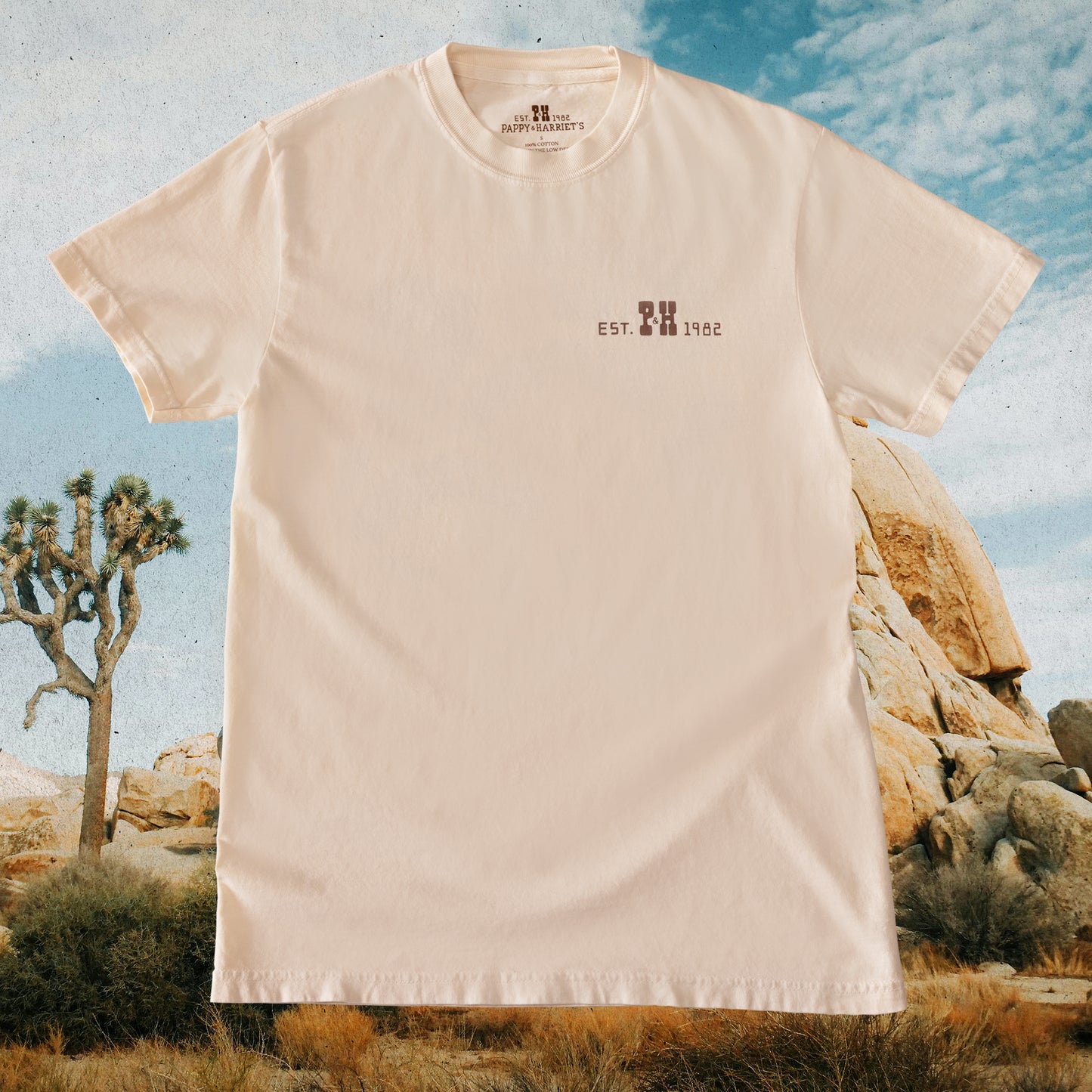 Desertscape Tee